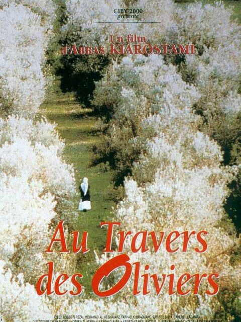 Au travers des oliviers