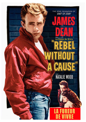 la_fureur_de_vivre nicolas ray