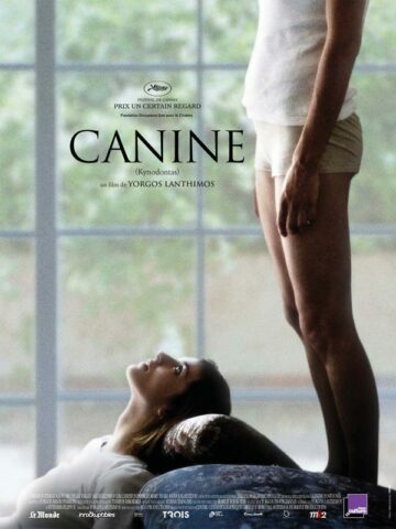 Canine affiche