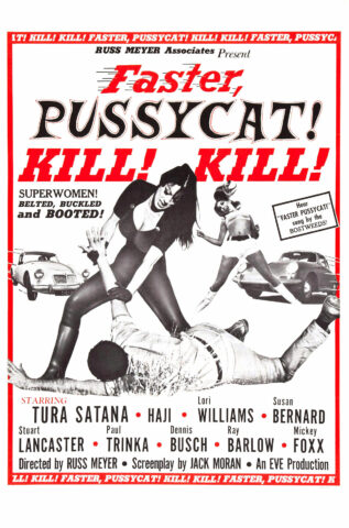 Faster, Pussycat Kill Kill !