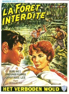 La forêt interdite affiche