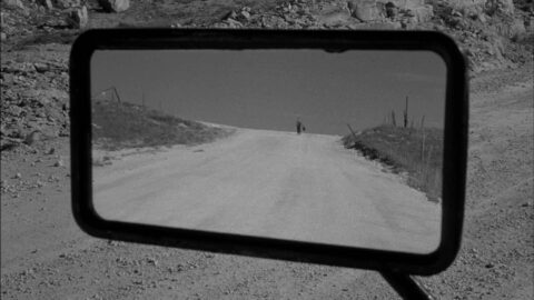 272270867_344725264179229_4324001360149183620_n