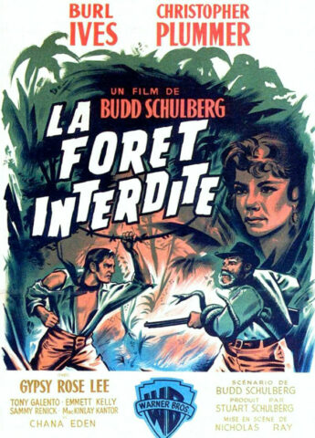 affiche-la-forêt-interdite