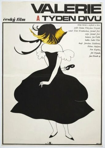 il_570xN.3350458510_jsxd