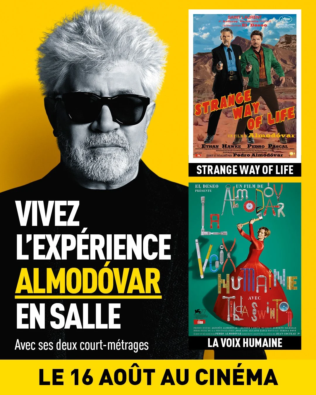 L’Expérience Almodovar · La Filmothèque du Quartier Latin