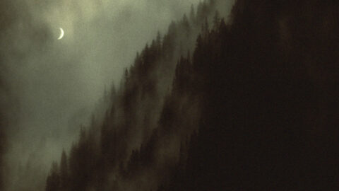 sleep-has-her-house-still1