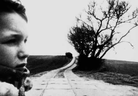 MV5BZDAzNjU0OWQtNzNjNC00NzJiLWE3MDAtNWI3YzkzZjY0MzY0XkEyXkFqcGc@._V1_