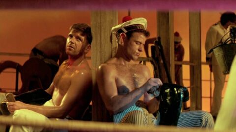 querelle