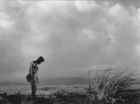 Capture d’écran 2025-12-22 à 15.08.58