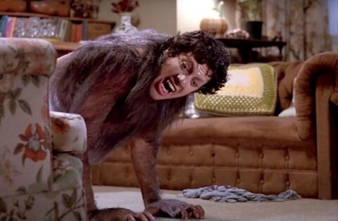 Le loup garou de londres – photo