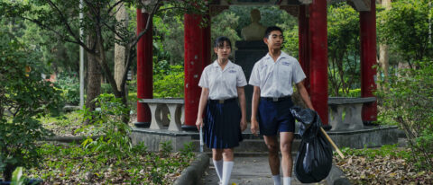 Before the bright day – photo