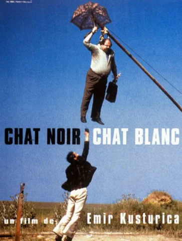 Chat noir chat blanc – affiche