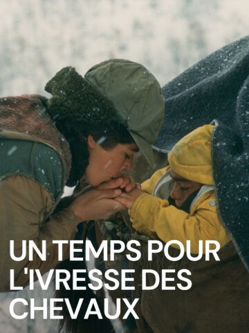 Un temps pour l&rsquo;ivresse des chevaux – affiche